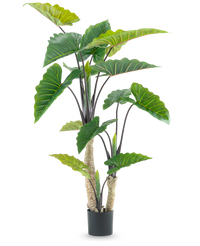 Kunstig plante Alocasia 180 cm