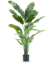 Kunstig plante Strelitzia Nicolai Deluxe 200 cm