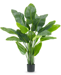 Kunstig plante Strelitzia Real Touch Deluxe 180 cm