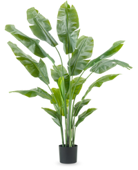 Kunstig plante Strelitzia Nicolai Deluxe 180 cm