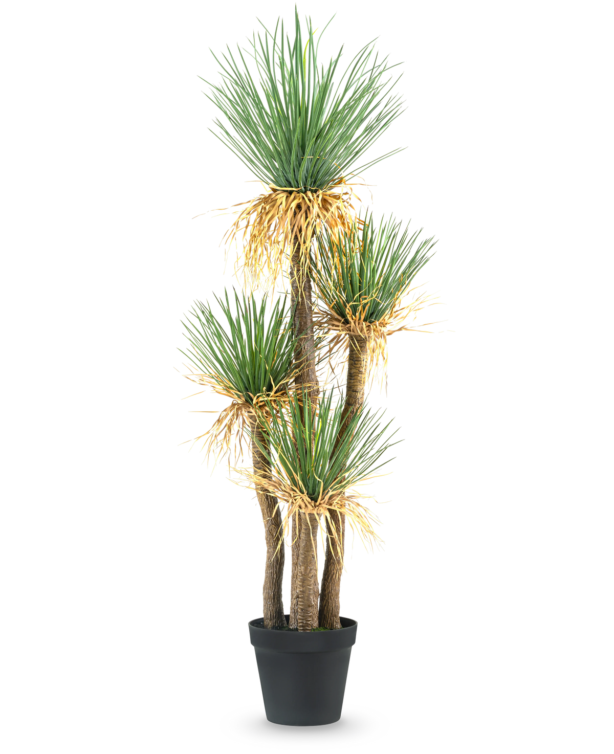 Artificial Plant Yucca deluxe 182 cm er en høj kunstig yucca med flere træagtige stængler og bundter af lange, spidse grønne blade og en smule gulning i bunden, perfekt som et dekorativt stykke til ethvert rum.