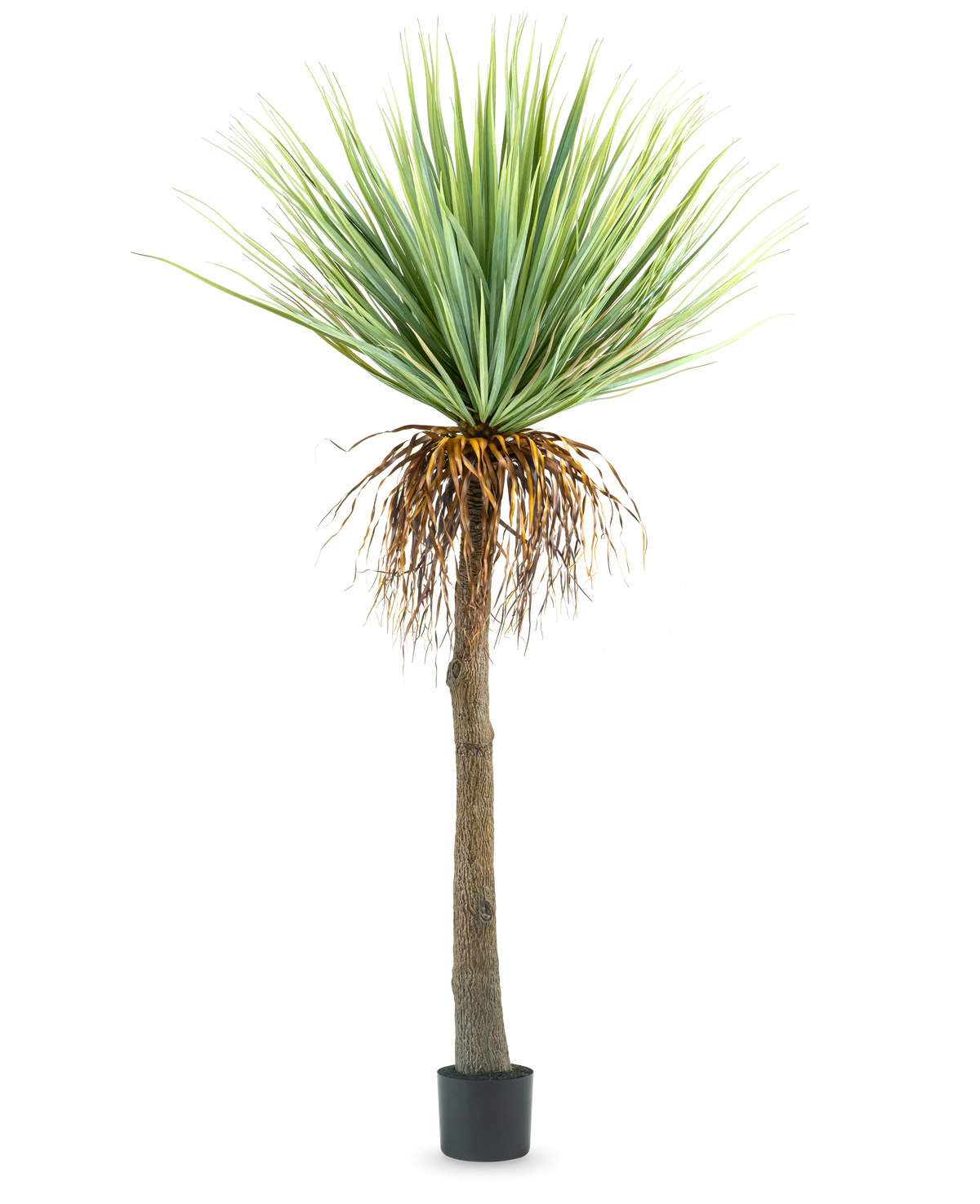 Den kunstige Yucca-plante 153 cm har en høj, ru brun stamme med grønne spidse blade øverst og nogle tørrede blade forneden, mod en almindelig hvid baggrund.