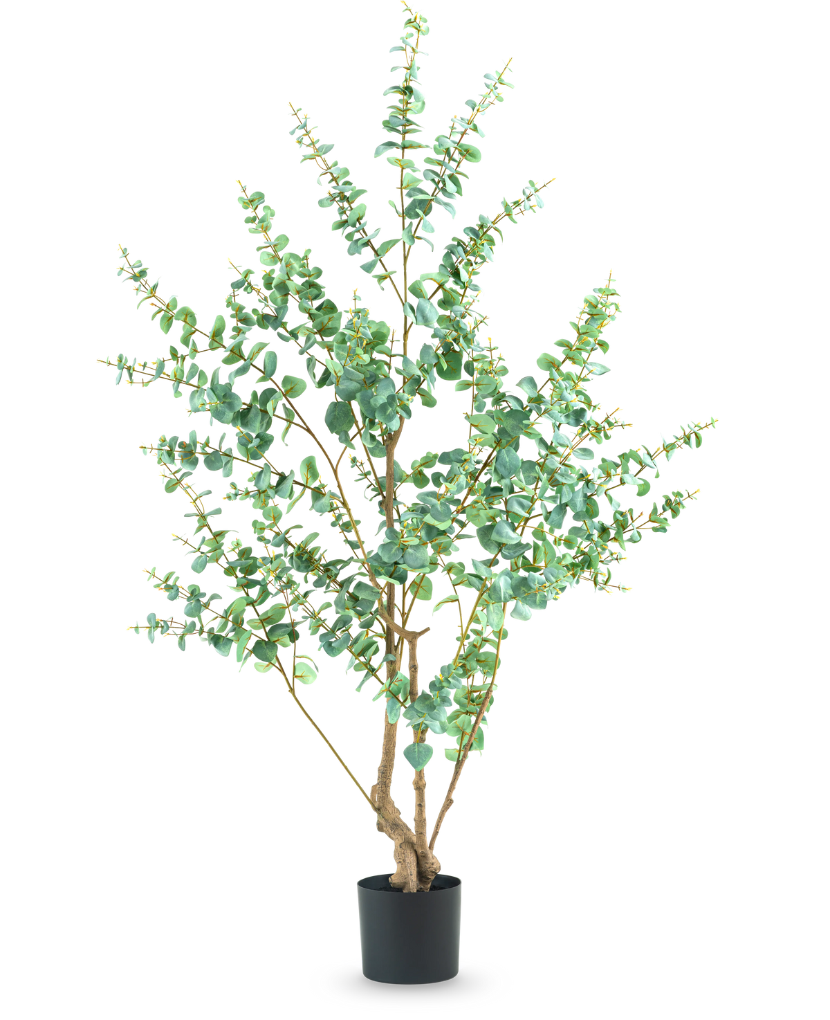 Den kunstige plante Eucalyptus 180 cm er en høj kunstig plante med slanke grene og runde grønne blade, udstillet i en simpel sort potte mod en hvid baggrund.