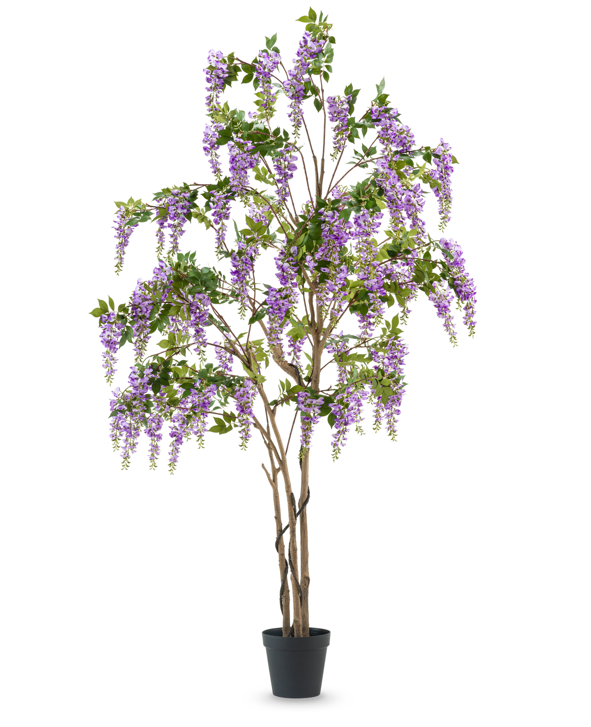 The Artificial Wisteria Plant 280 cm er et højt kunstigt blåregn træ i en sort potte, med flere slanke brune stammer og cascade lilla blomster med grønne blade, mod en almindelig hvid baggrund.