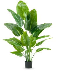 Kunstig plante Strelitzia Real Touch Deluxe 150 cm
