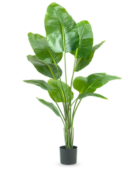 Kunstig plante Strelitzia 150 cm ægte touch