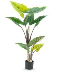 Kunstig plante Alocasia 150 cm