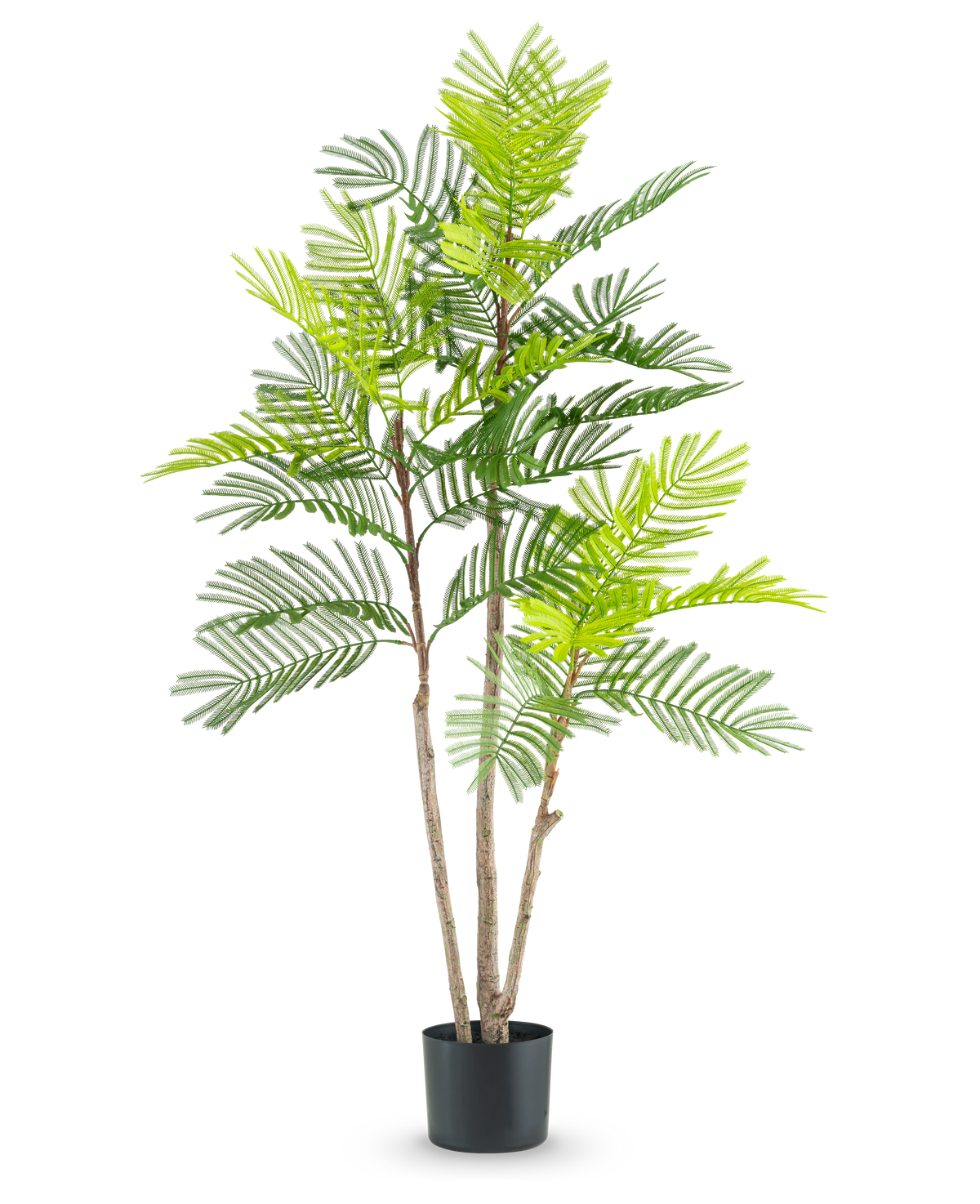Den kunstige bregneplante 120 cm har flere slanke brune stængler og frodige grønne bregne-lignende blade, i en lille sort potte mod en almindelig hvid baggrund.