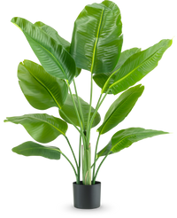 Kunstig plante Strelitzia Real Touch Deluxe 120 cm