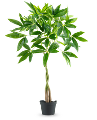Kunstig plante Pachira 90 cm