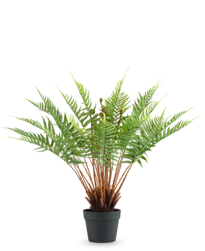 De Kunstplant Varen 66 cm is een kunstvaren in pot met lange, donzige groene bladeren en bruine stengels, tegen een effen witte achtergrond.