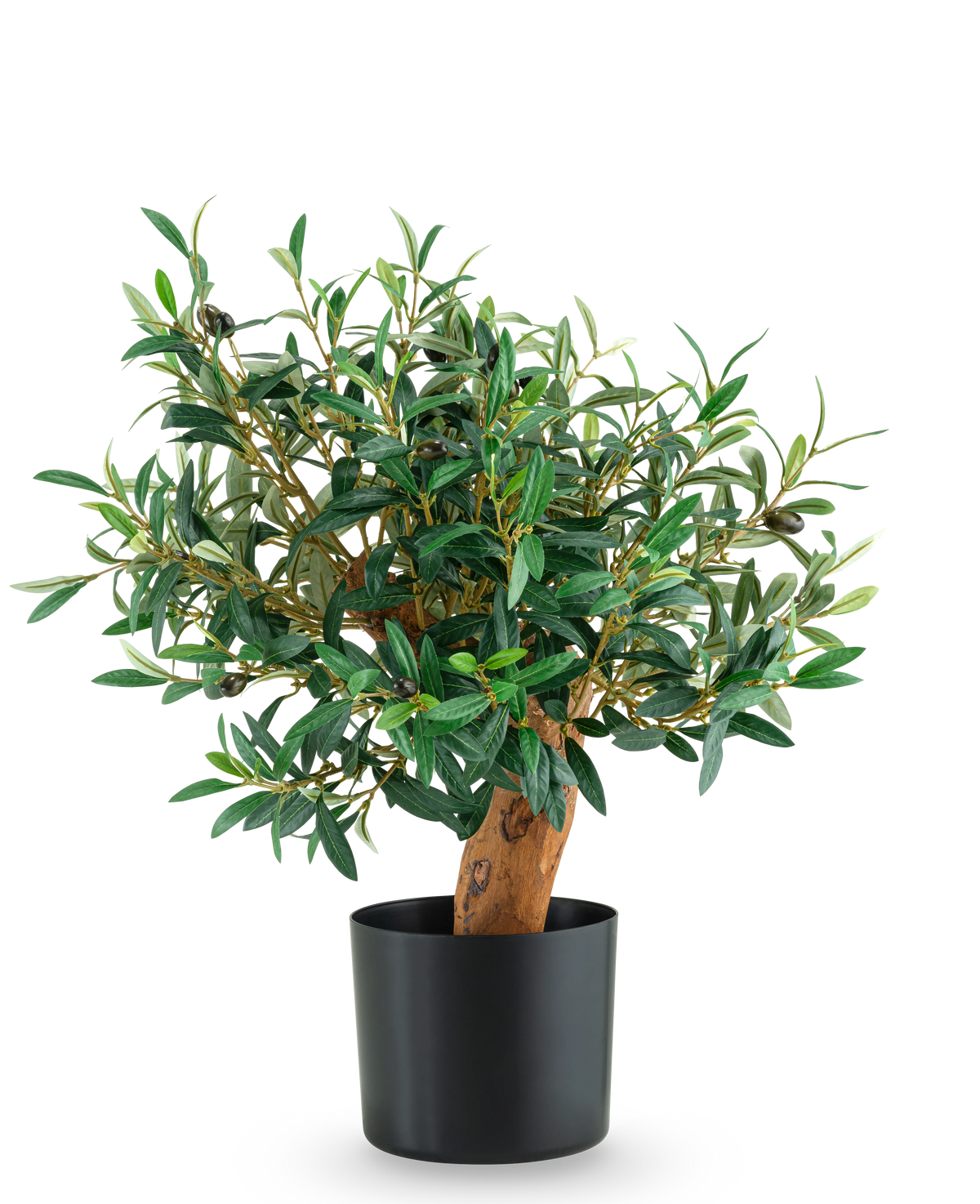 Artificial Olive Mount UV 60cm er et lille oliventræ i potte med frodige grønne blade og en robust stamme, præsenteret i en slank sort potte mod en almindelig hvid baggrund.