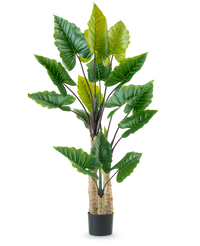 Kunstig plante Alocasia 210 cm