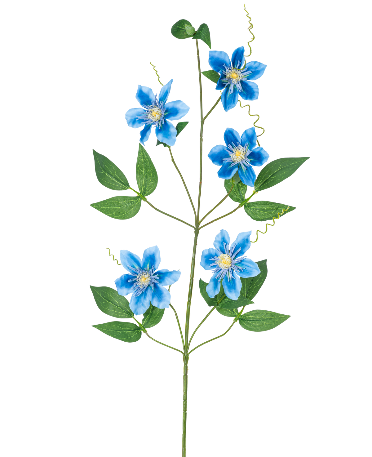 Artificial Flower Clematis dobbelt 82 cm blå har en enkelt vinstokke med fem levende blå blomster og flere grønne blade, smukt vist mod en almindelig hvid baggrund.