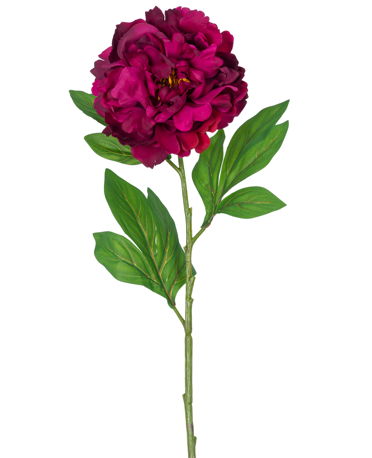 En enkelt kunstig blomsterpæon 77 cm kunstig auberginestamme, der viser en dyb magenta pæon med nogle grønne blade, mod en almindelig hvid baggrund.