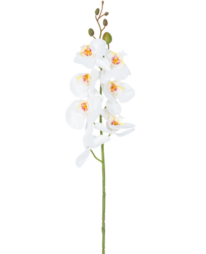 De Kunstbloem Orchidee 84 cm wit heeft een enkele steel van witte orchideeënbloemen met gele en roze hartjes en groene bloemknoppen bovenaan, tegen een effen witte achtergrond.