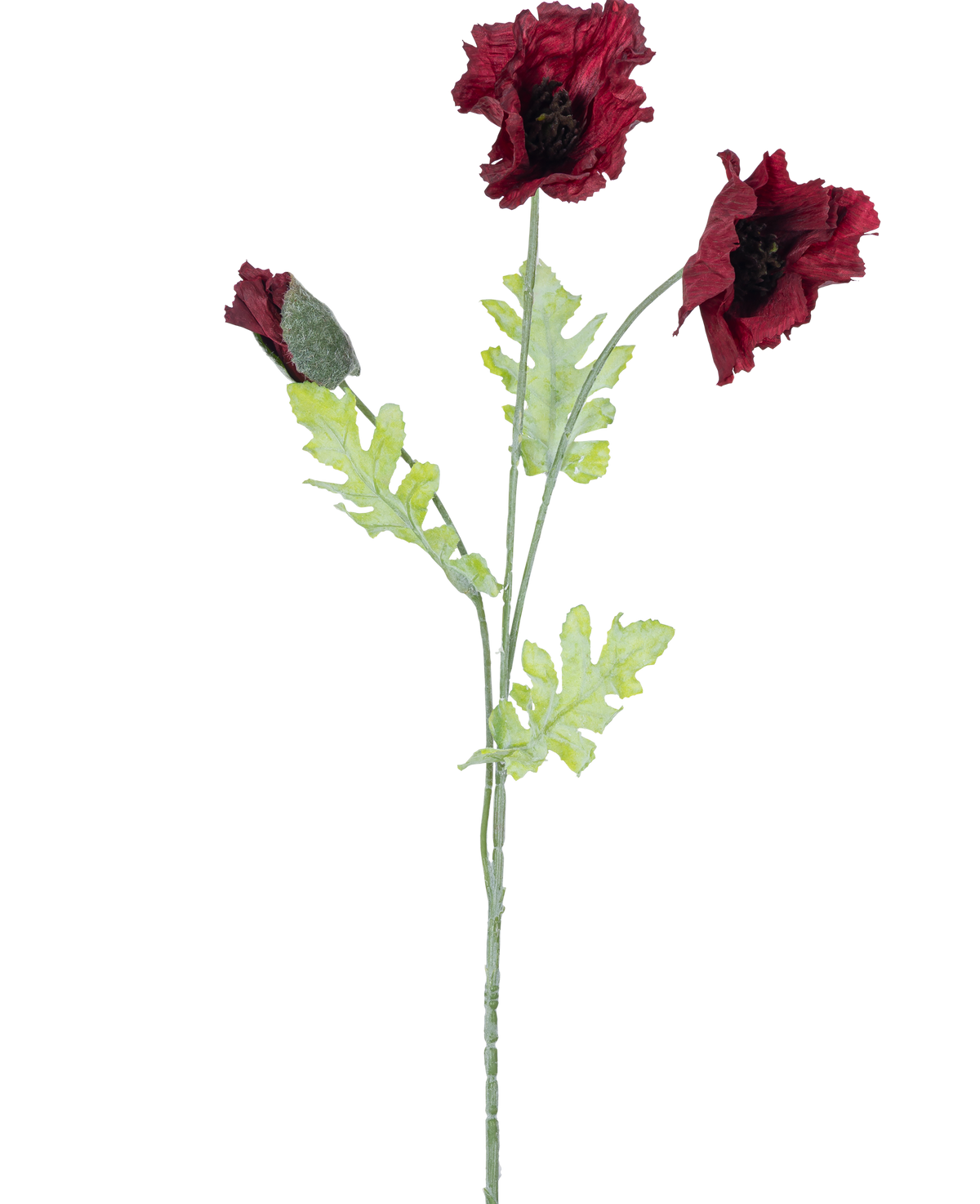 Den kunstige blomstervalmue 73 cm bordeaux har en enkelt stilk med to åbne mørkerøde valmueblomster, en knop og flere grønne takkede blade mod en hvid baggrund.