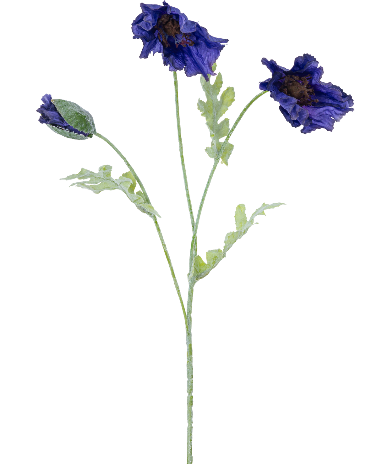 En botanisk illustration af den kunstige blomstervalmue 73 cm mørkeblå viser tre lysegrønne stængler - to med flæser af mørkeblå blomster og en med lukket knop mod hvid baggrund.