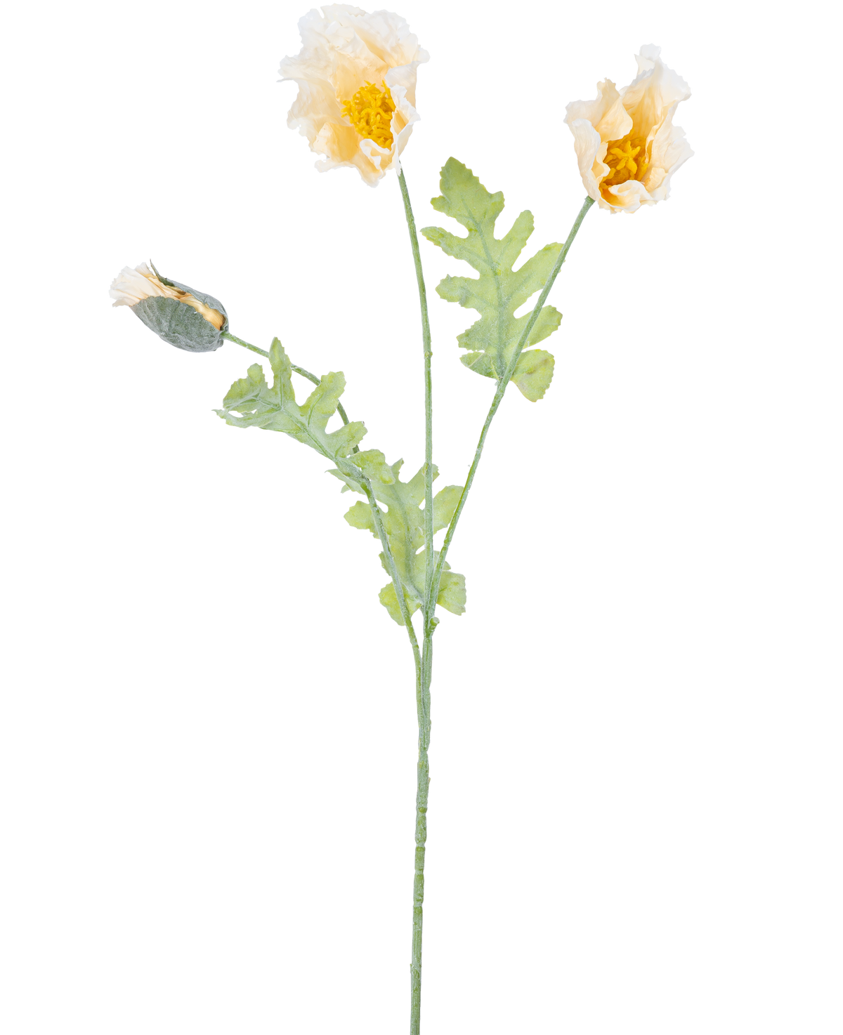En delikat botanisk illustration af kunstig blomstervalmue 73 cm creme, med to åbne gule blomster og en lukket knop på grønne stængler med takkede blade, mod en hvid baggrund.