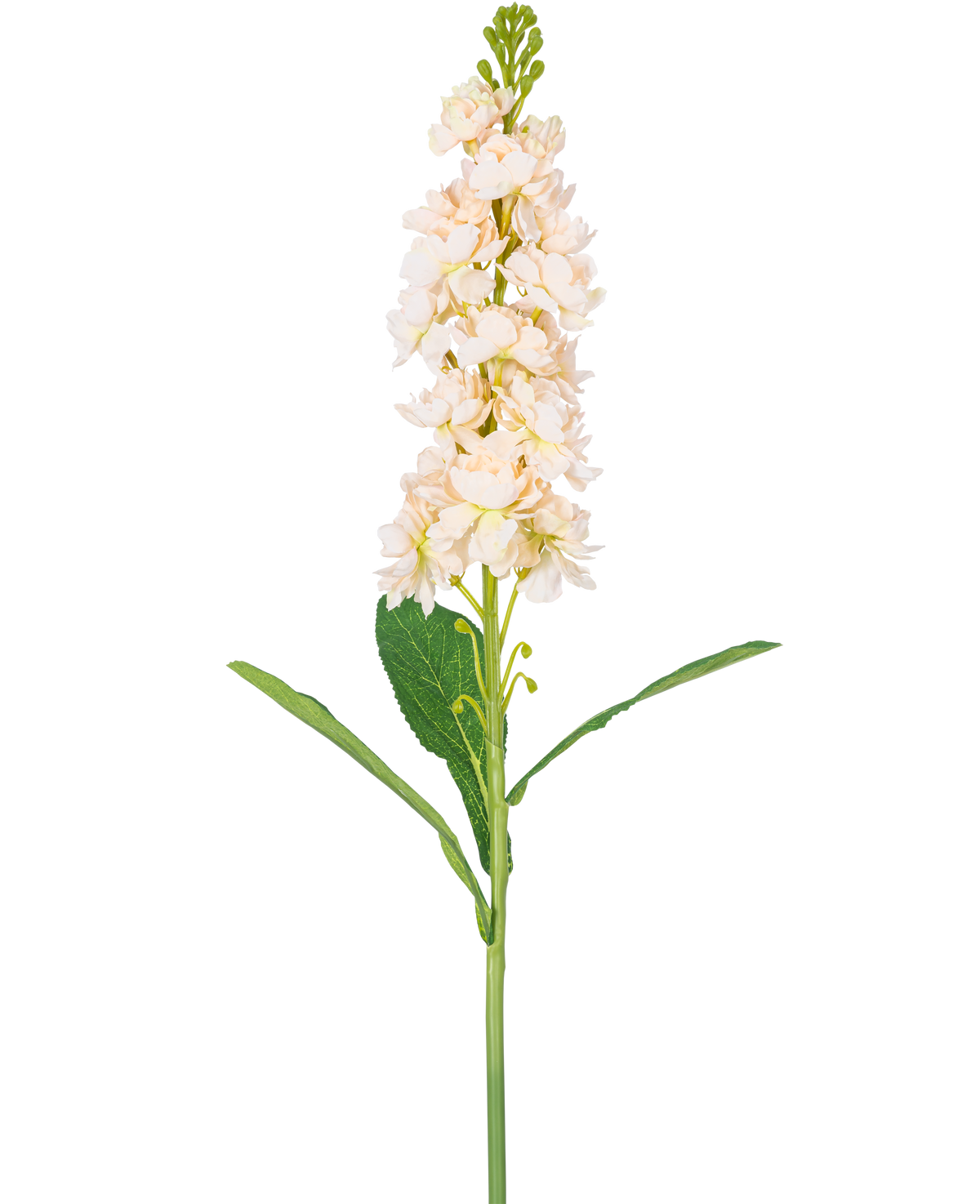 En enkelt Artificial Flower Violier 78 cm creme har flere lyse cremeblomster og grønne blade mod en almindelig hvid baggrund.