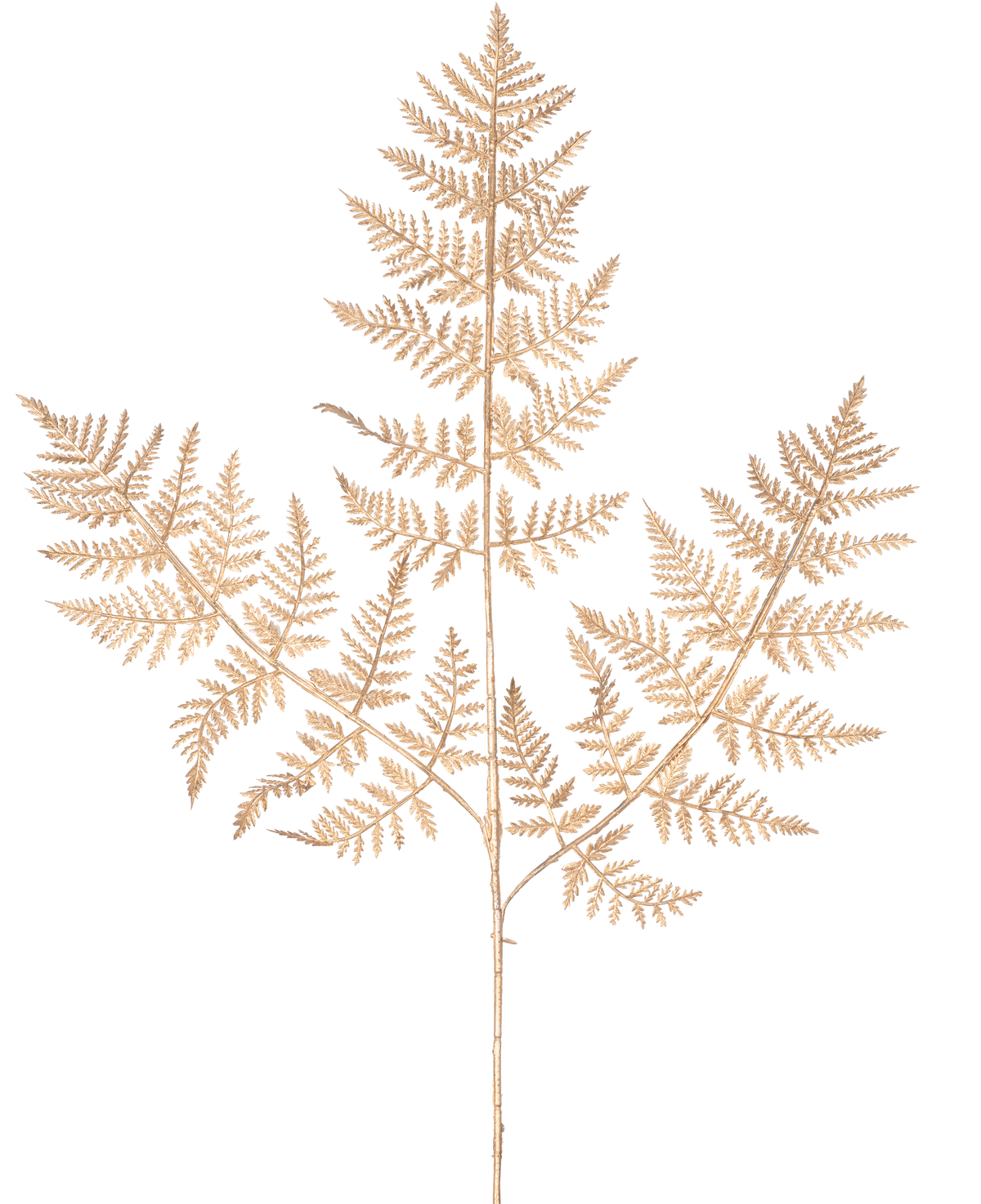Artificial Branch Fern 78 cm guld har en delikat, tørret bregnegren med tynde, indviklede lysebrune blade i et detaljeret blondemønster, elegant vist mod en almindelig hvid baggrund.