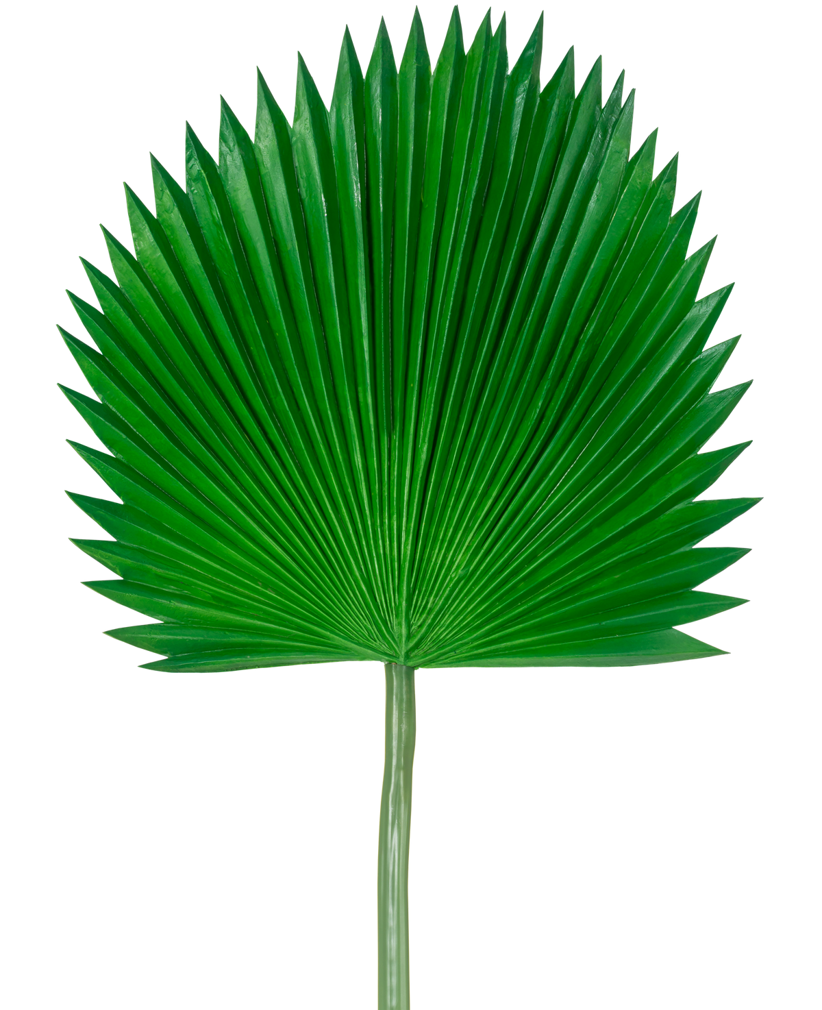 The Artificial Leaf Washingtonia 105cm er et enkelt grønt palmeblad med vifteform og spidse ender mod en almindelig hvid baggrund.