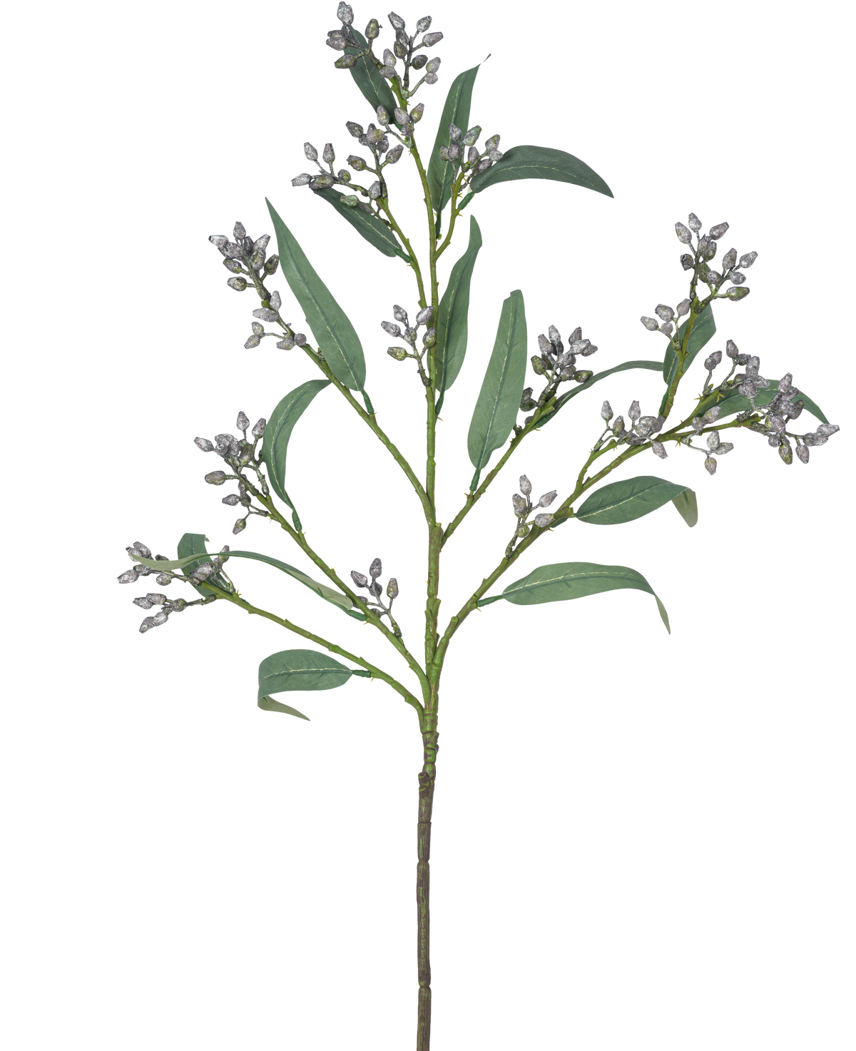 Den kunstige gren Eucalyptus bær 78 cm grå har en enkelt grøn gren med lange, smalle blade og bundter af små, grålige knopper, afbildet på en hvid baggrund.