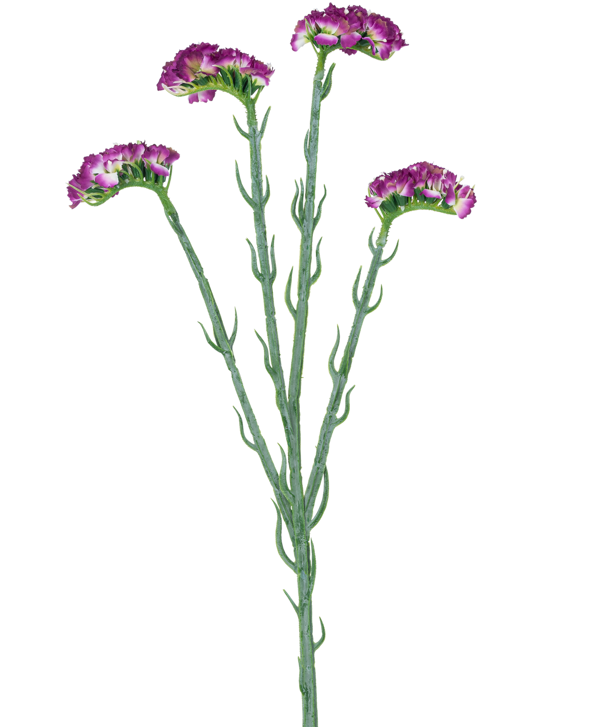 Artificial Branch Statice 64 cm mørk lilla har tre slanke grønne stængler med flere grene, hver dækket med et antal små, frilly mørke lilla blomster, alle mod en hvid baggrund.