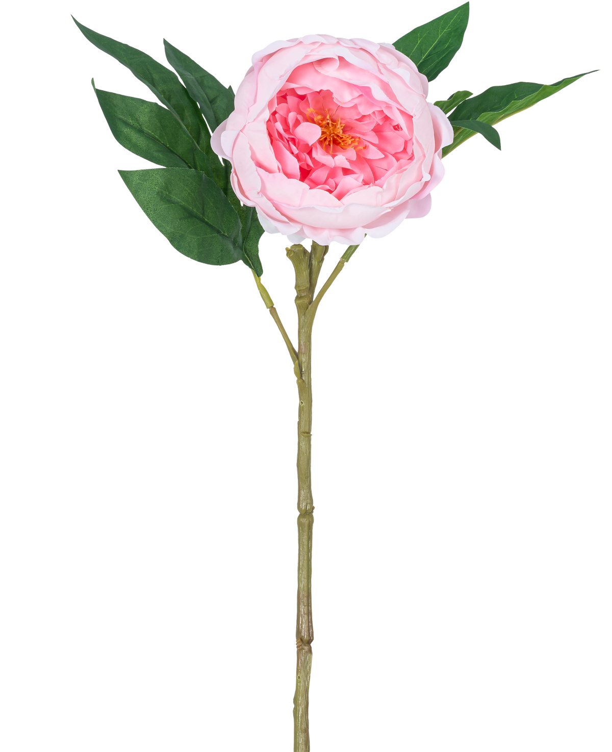 The Artificial Peony Real Touch Pink 58cm er en kunstig pink pæon med lagdelte kronblade, et gult hjerte, grønne blade og en lang brun stilk, afbildet mod en almindelig hvid baggrund.