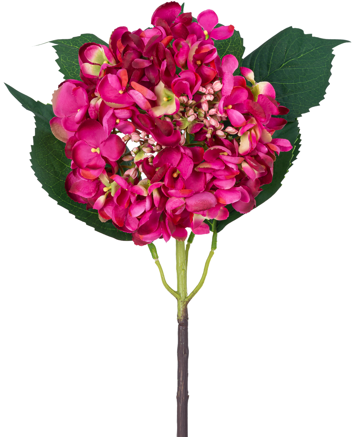 En enkelt kunstig blomsterhavehortensia 61 cm pink hortensiablomst og tre store grønne blade mod en hvid baggrund.