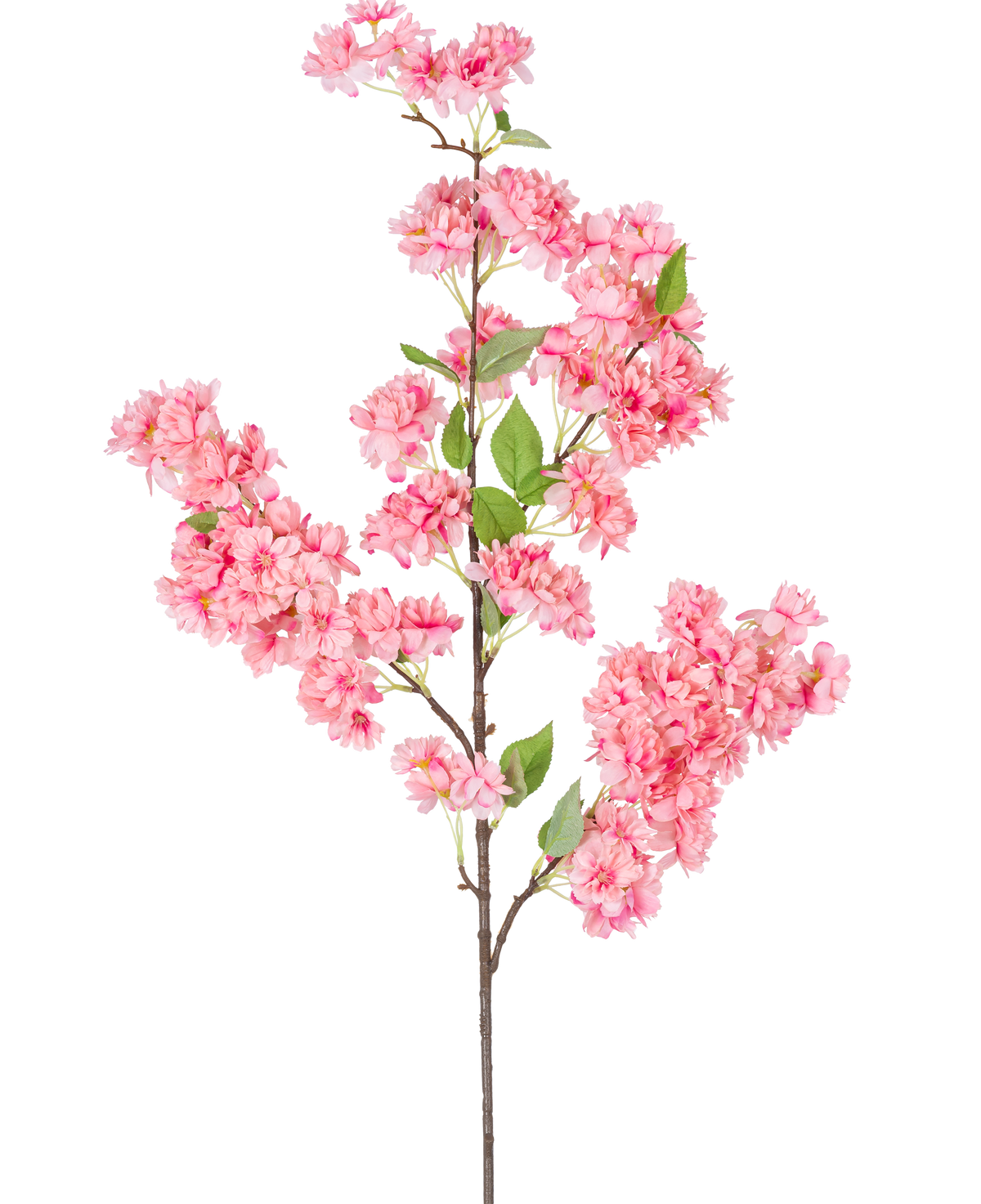 Artificial Cherry Blossom 100 cm pink er en enkelt kunstig kirsebærblomstgren med bundter af lyse lyserøde blomster og grønne blade, perfekt til dekorativ brug.