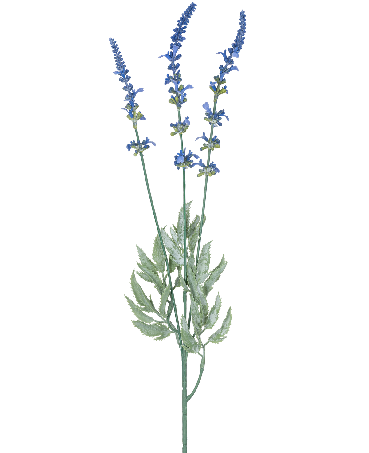 En botanisk illustration af kunstig gren lavendel 66 cm blå viser tre lange, tynde stængler med klaser af små blå blomster og aflange grønne blade mod en hvid baggrund.
