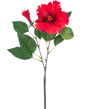 De Kunstbloem Hibiscus 63 cm rood heeft een enkele steel met levendige rode hibiscusbloemen en groene bladeren tegen een effen witte achtergrond.