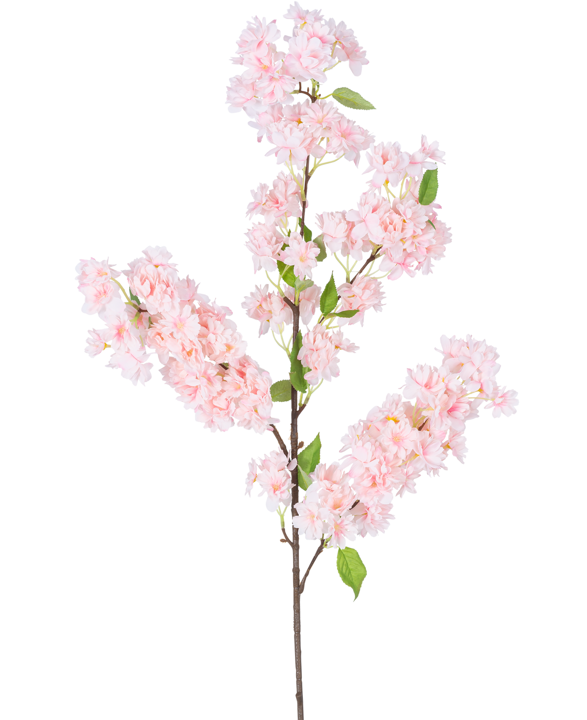 Artificial Cherry Blossom 100 cm pink har en lang brun stilk, bundter af lys pink kirsebærblomster og grønne blade mod en hvid baggrund.