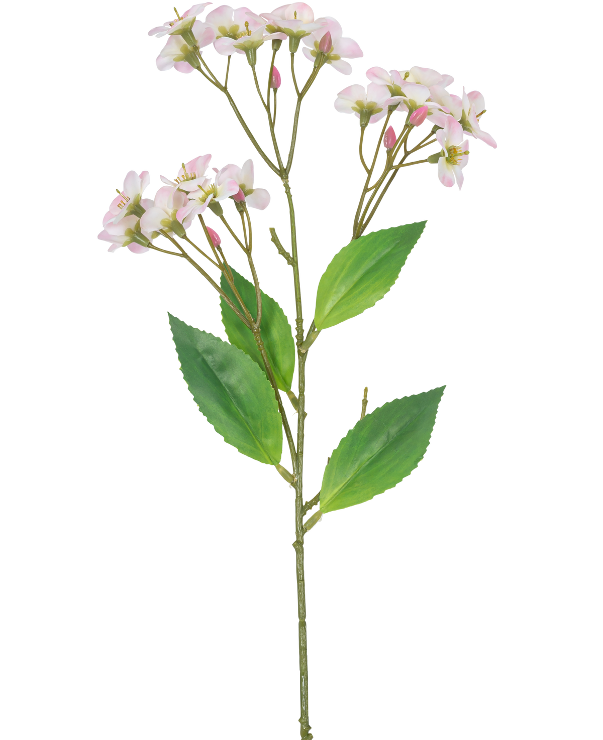 En kunstig blomsterorkidé Real Touch Pink på 50 cm med flere bundter af lyserøde blomster og grønne blade, isoleret på en hvid baggrund.