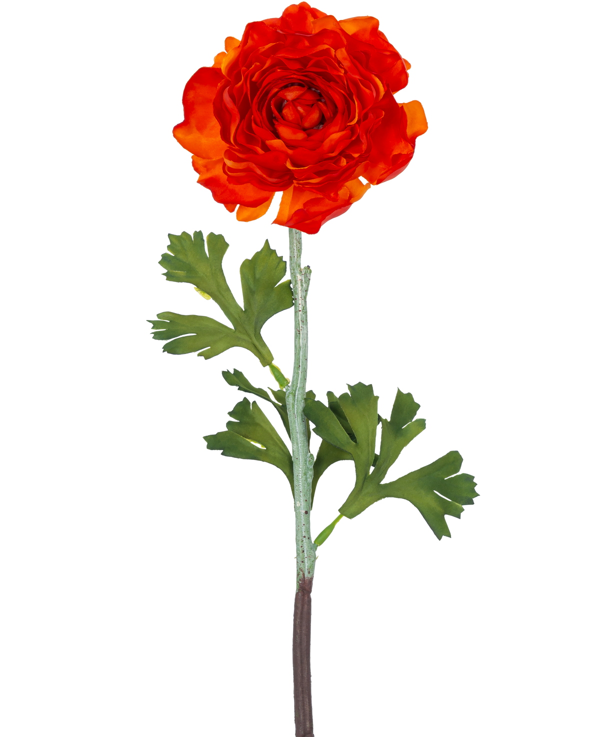 Den kunstige blomst Ranunculus 51 cm mørk orange har en levende mørk orange kunstig ranunculus blomst med lagdelte kronblade og grønne, fligede blade på en lang stilk, mod en almindelig hvid baggrund.