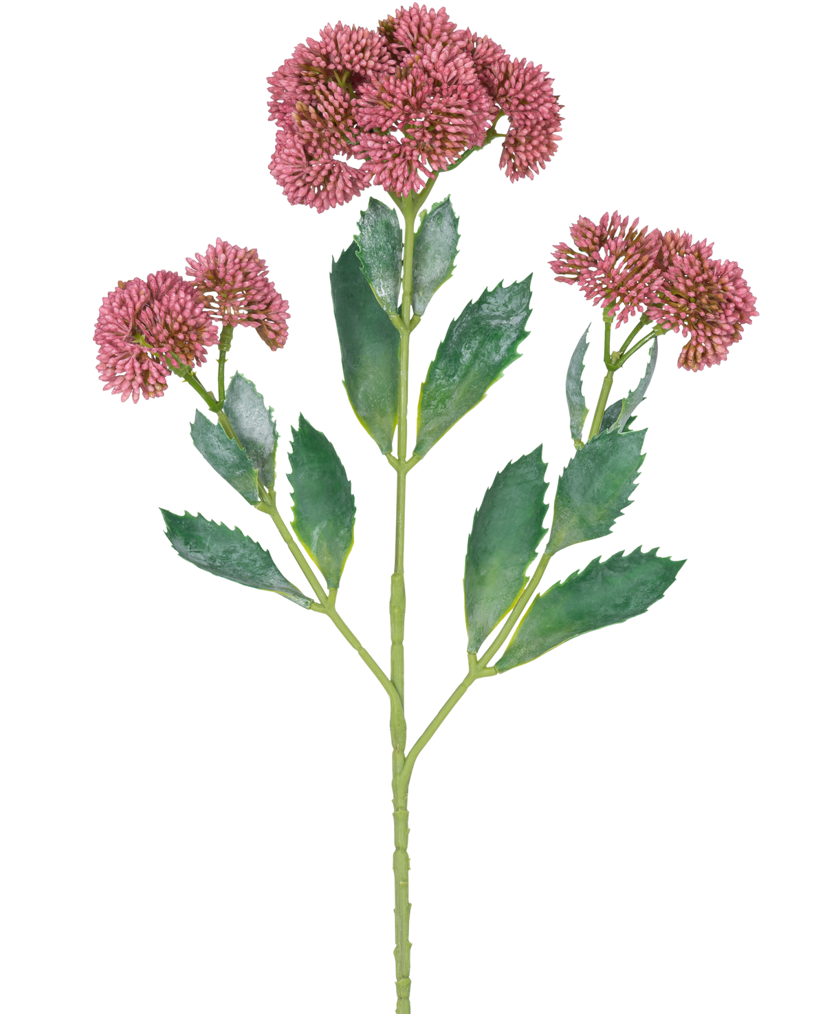 En digital illustration af den kunstige gren Sedum 48 cm rød viser en blomstrende plante med grønne blade og klaser af små, pink-lilla blomster på forgrenede stængler, mod en hvid baggrund.