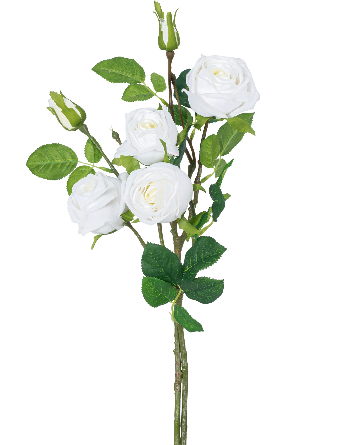 Den kunstige rosengren dobbelt Real Touch hvid 80cm har en stilk med tre blomstrende hvide kunstige roser, grønne blade og rosenknopper mod en almindelig hvid baggrund.