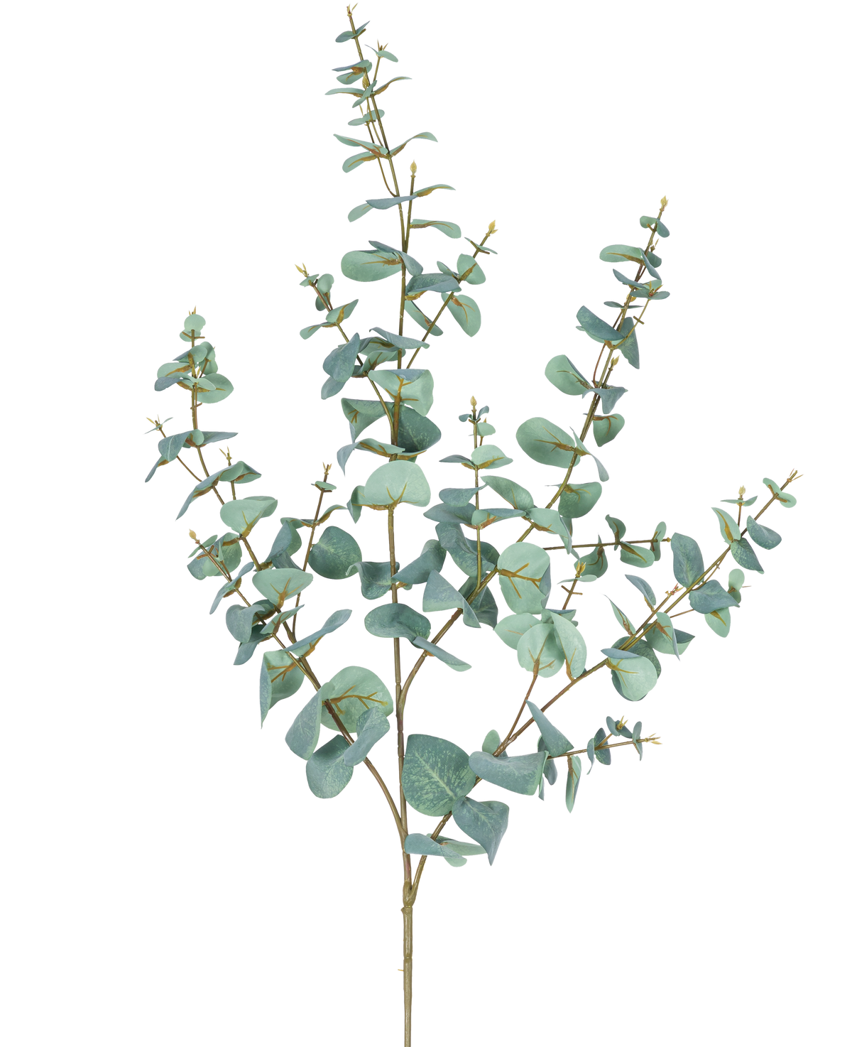 Den kunstige eukalyptus 120 cm har flere tynde stængler og runde, blågrønne blade mod en almindelig hvid baggrund.