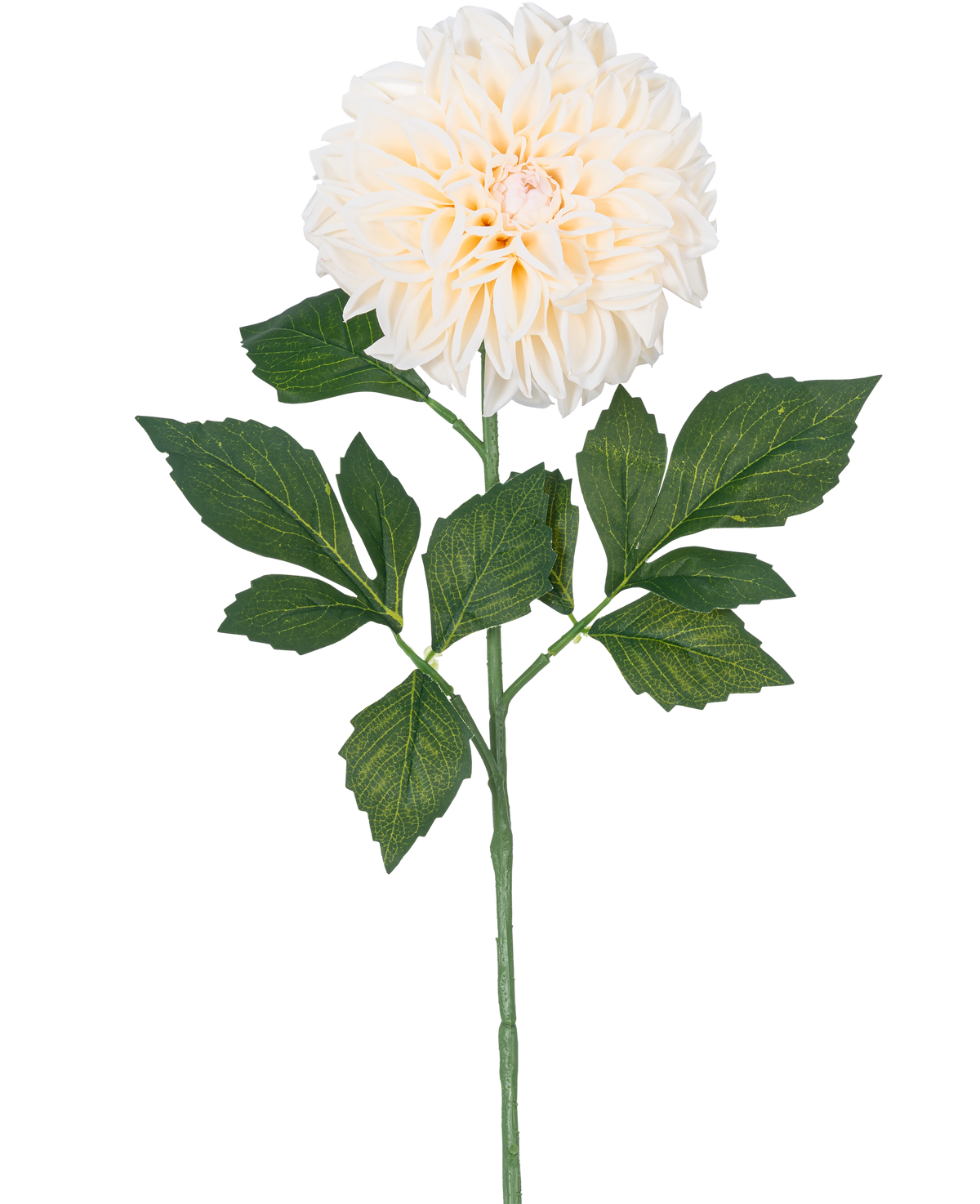 Artificial Flower Dahlia Real Touch Beige 72 cm har en enkelt beige dahlia med lagdelte kronblade og grønne blade på en lang stilk, isoleret på en hvid baggrund.