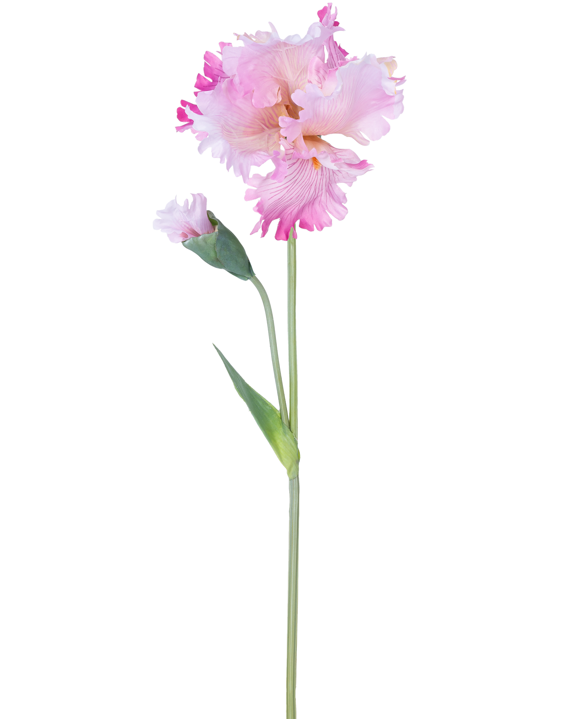 Artificial Flower Iris 80 cm pink har en enkelt pink irisstamme med flæser i kronbladene og en lukket knop, mod en almindelig hvid baggrund.
