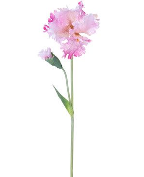 De Kunstbloem Iris 80 cm roze heeft een enkele roze irisstengel met ruches in de bloemblaadjes en een gesloten knop, tegen een effen witte achtergrond.