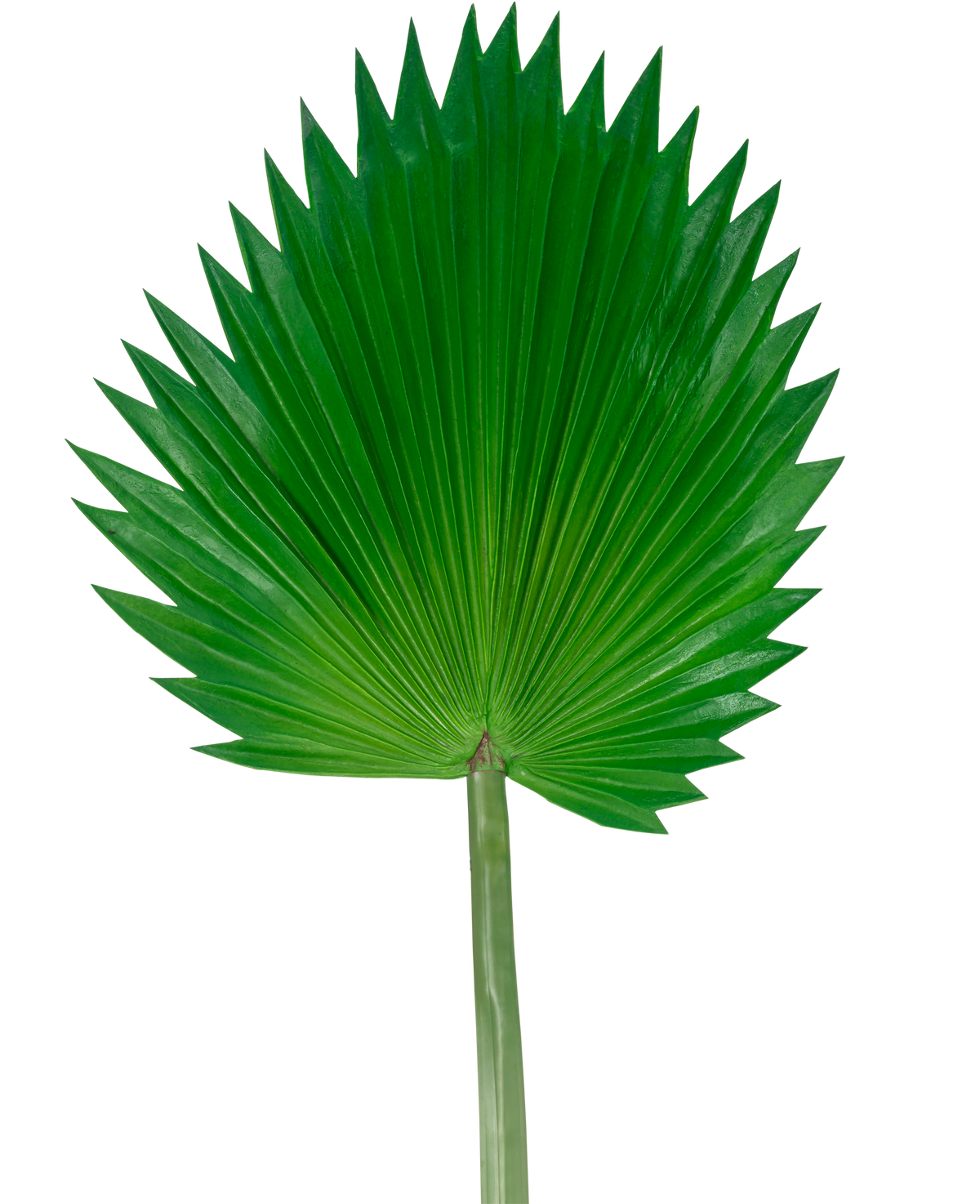 The Artificial Leaf Washingtonia 83cm er et stort, grønt kunstigt viftepalmeblad med en lang stilk, afbildet mod en almindelig hvid baggrund.