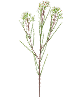 De Kunsttak Waxflower 78 cm creme heeft een enkele hoge steel met dunne groene blaadjes en trosjes kleine, roomwitte bloemen aan de bovenkant, tegen een effen, lichte achtergrond.