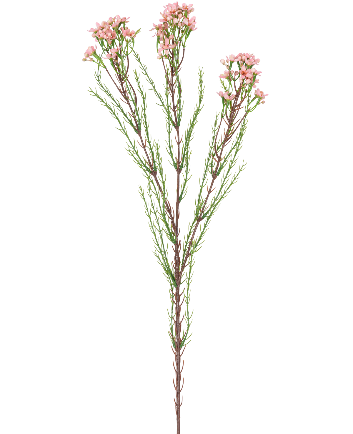 Artificial Branch Waxflower 78 cm pink har en enkelt stilk med tynde grønne blade og flere bundter af små, lyserøde blomster i toppen, mod en hvid baggrund.