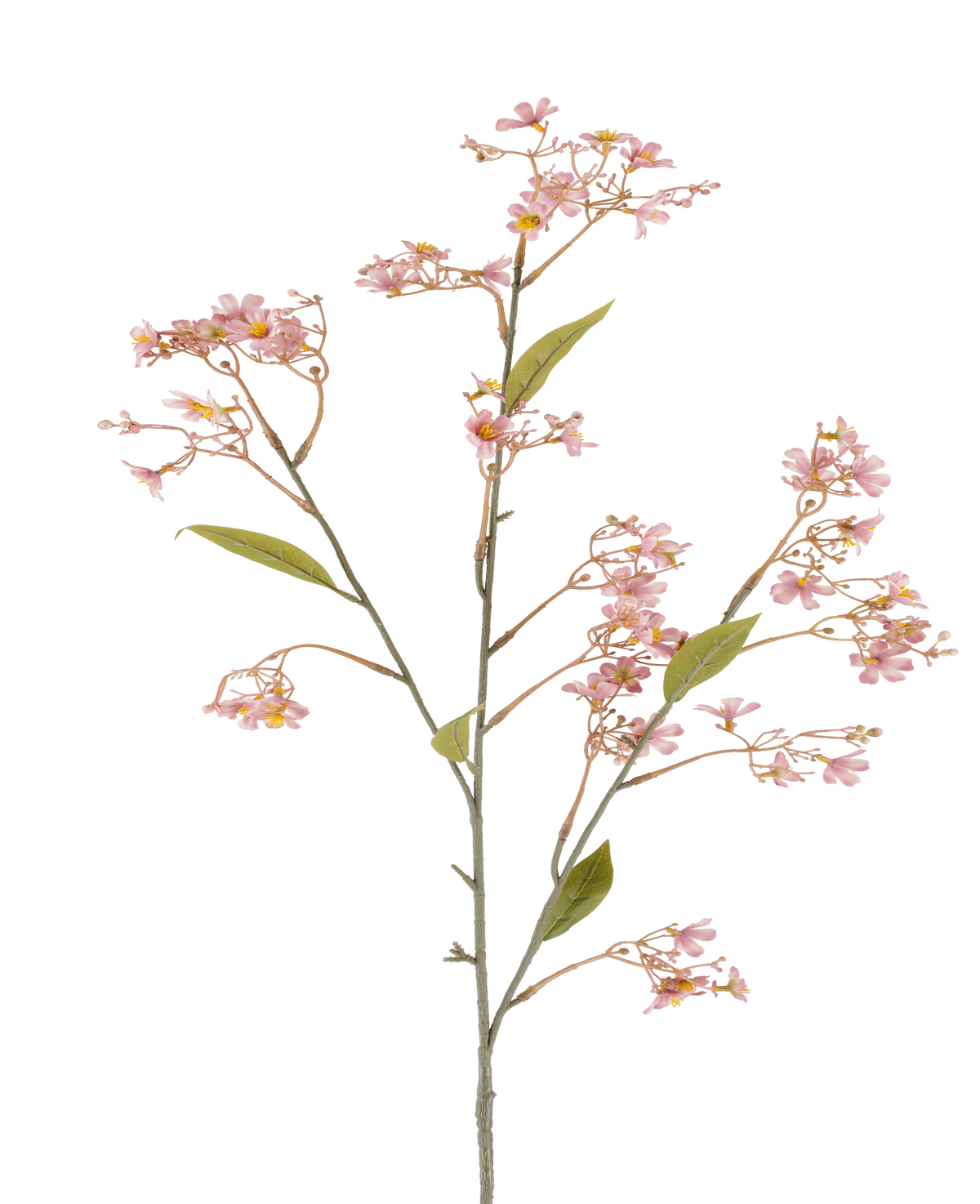 En enkelt stilk af den kunstige blomst Daphne på 108 cm i gammelrosa, med små bundter af bløde lyserøde blomster og nogle grønne blade mod en hvid baggrund.