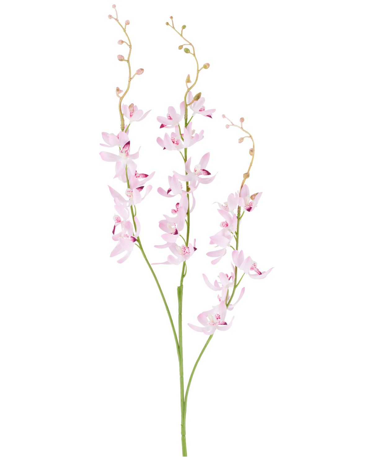 To grønne stængler med forgrenede klaser af sarte, lyslilla cymbidium-orkidéblomster og små knopper på tynde, hvælvede kviste, afbilledet mod en almindelig hvid baggrund. Det afbildede produkt er den kunstige blomst Cymbidium 95 cm lilla.