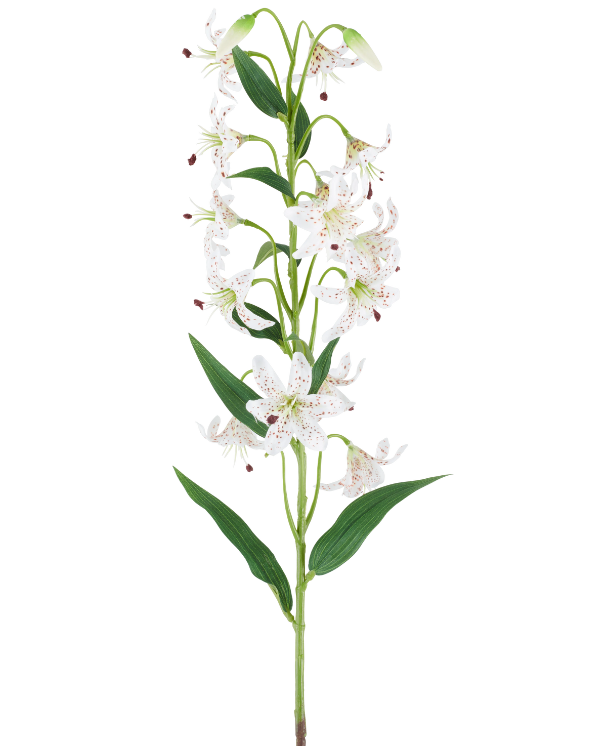 En lang grøn stilk med flere cremefarvede og brune kunstliljer, hver med aflange grønne blade, præsenteret på en hvid baggrund — Kunstig blomsterlilje 82 cm creme/brun.