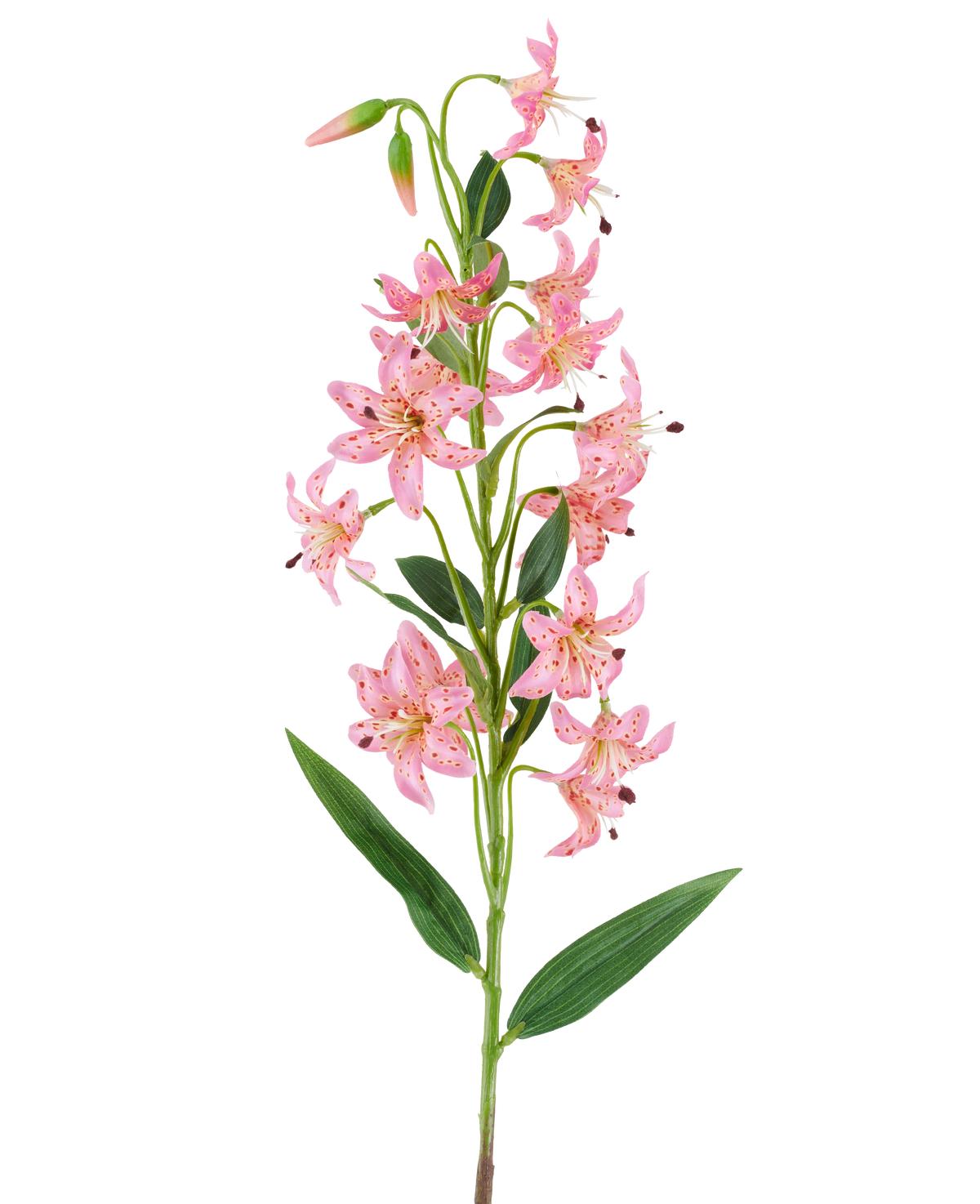 En enkelt stilk af den kunstige blomsterlilje 82 cm fuchsia, med livlige fuchsiafarvede liljeblomster med mørke pletter, grønne blade og knopper mod en hvid baggrund.
