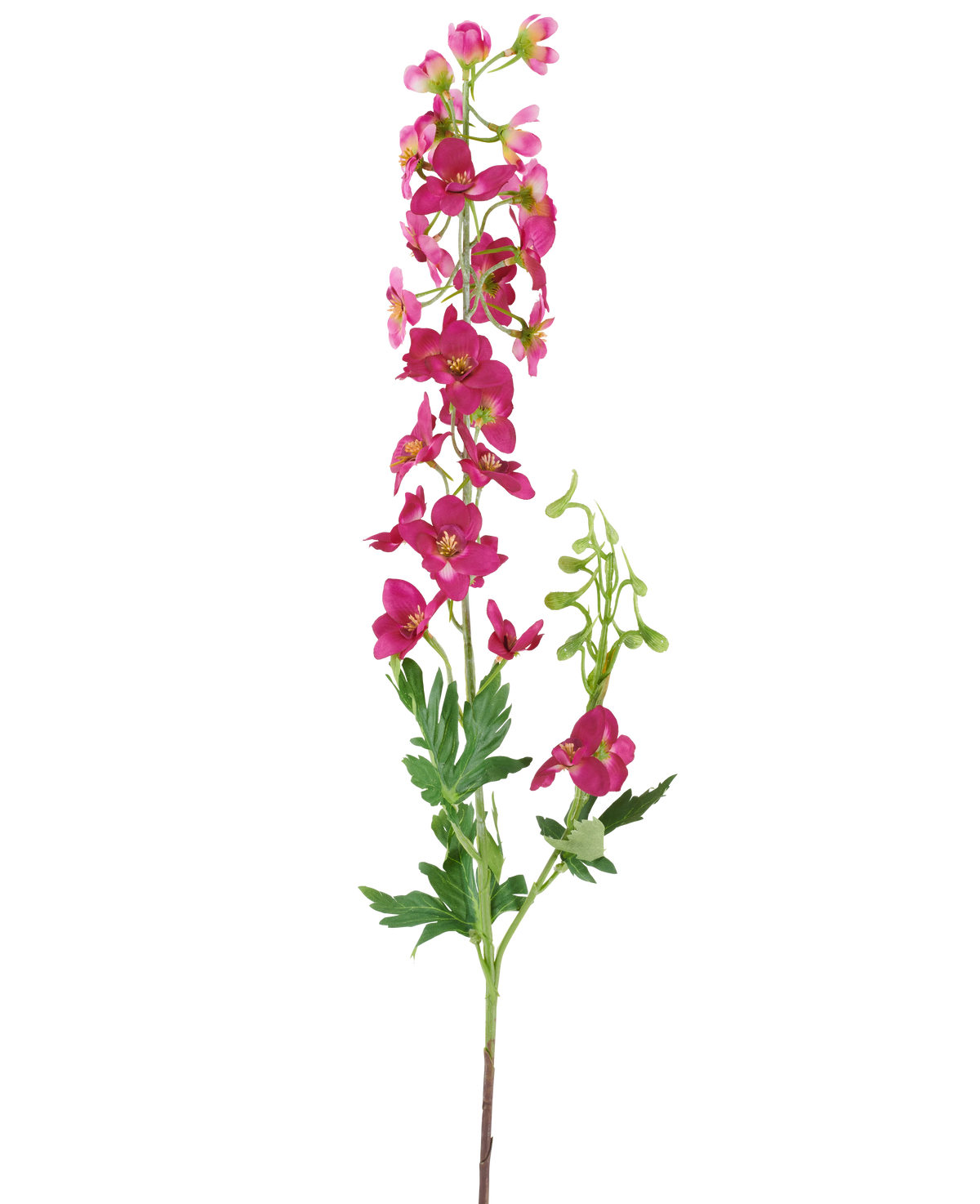 En enkelt stilk af den kunstige blomst Delphinium 79 cm mørk pink, med lyse lyserøde kunstige blomster, grønne blade og knopper, isoleret mod en hvid baggrund.